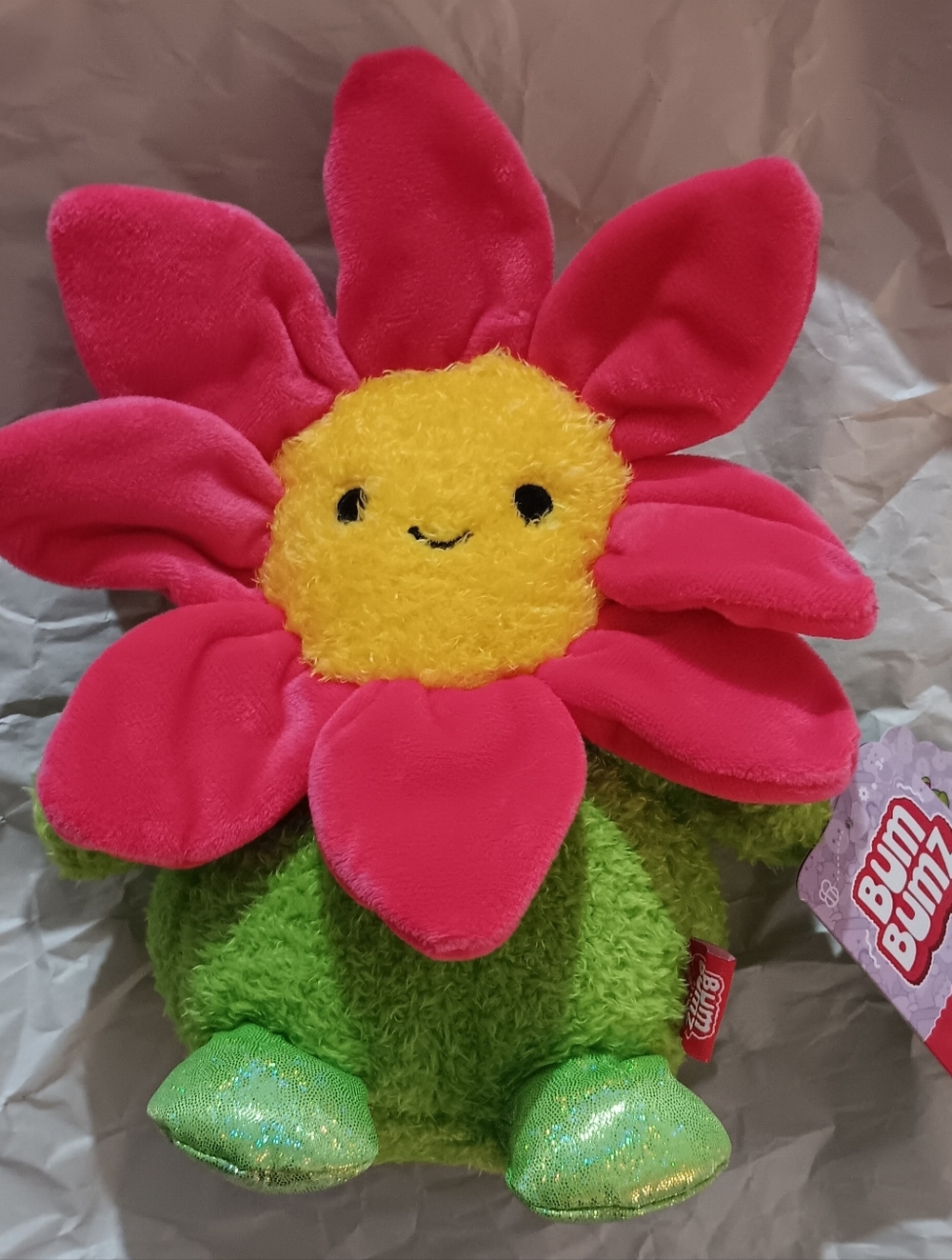 Dan The Flower - Bum Bumz